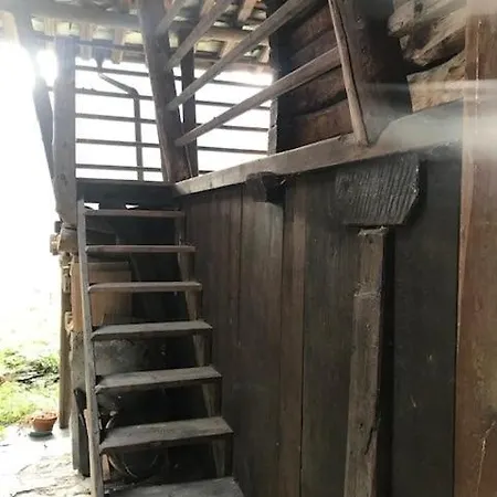 Apartment Cozy 500 Years Old Walser