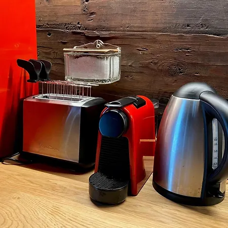 Cozy 500 Years Old Walser Apartment