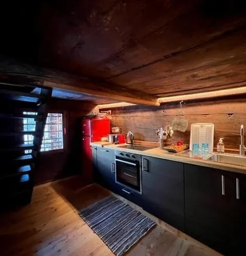 Cozy 500 Years Old Walser Apartment *