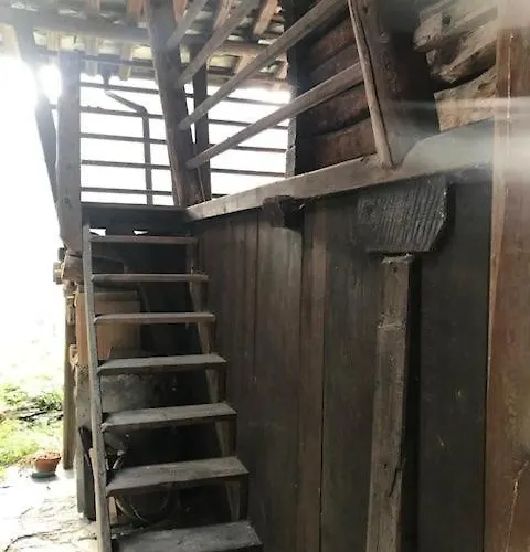 Apartment Cozy 500 Years Old Walser