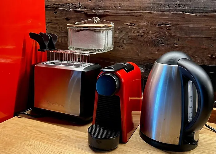 Cozy 500 Years Old Walser Apartment