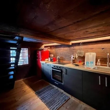 Cozy 500 Years Old Walser 公寓 *