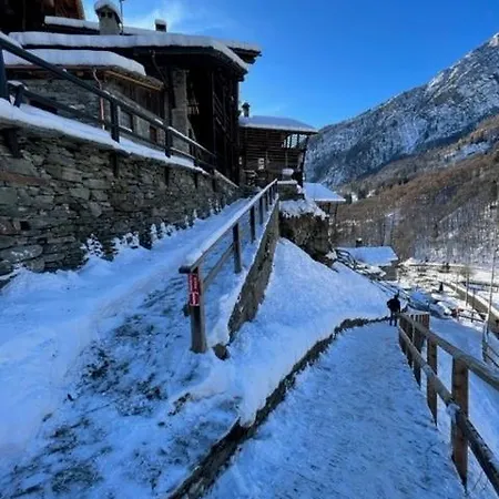 Cozy 500 Years Old Walser 公寓 *