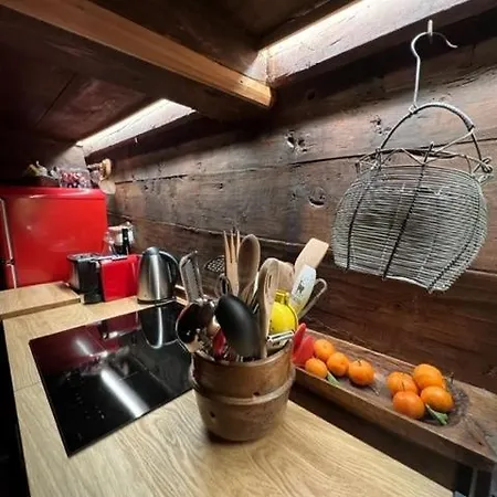 公寓 Cozy 500 Years Old Walser 阿兰尼亚·瓦尔塞西娅