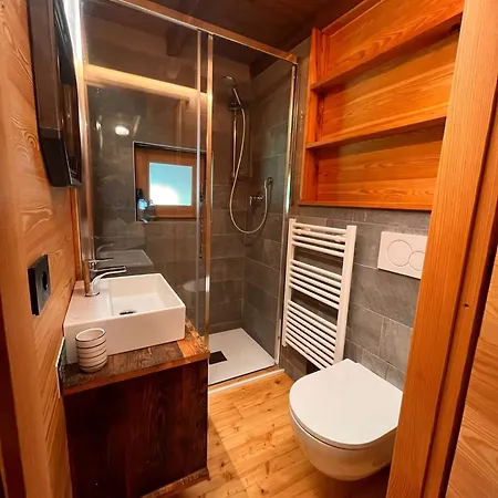 Cozy 500 Years Old Walser 公寓 *